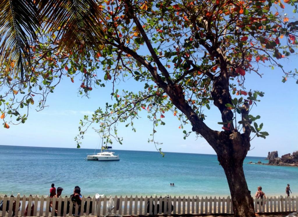 Sunset Shores Beach Hotel Κίνγκσταουν Εξωτερικό φωτογραφία